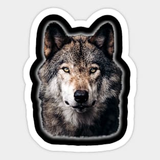 Realistic Wolf Face T-Shirt Sticker